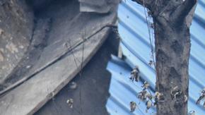 Aumentan a 34 los fallecidos por explosión en India