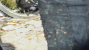 Número de muertos en Gaza se acerca a los 60.000