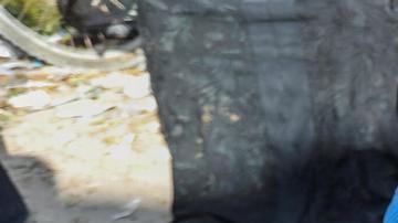 Número de muertos en Gaza se acerca a los 60.000