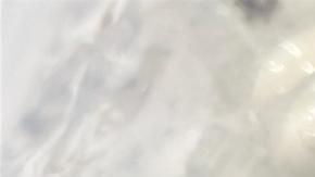 Esta foto, fechada el 18 de junio de 2025 y proporcionada por la oficina principal de aduanas de Colonia, muestra recipientes de plástico con tarántulas.