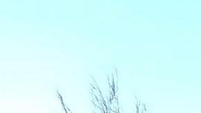 La Fiscalía estatal aseguró que realiza una exhaustiva investigación para esclarecer el crimen.