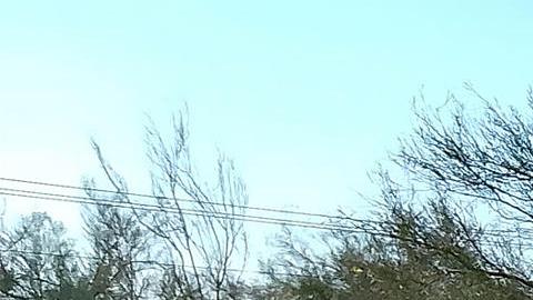 La Fiscalía estatal aseguró que realiza una exhaustiva investigación para esclarecer el crimen.