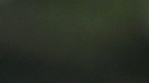 El balón fue un regalo que una delegación del Santos entregó en 2012 a la Cámara de Diputados.