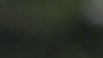 El balón fue un regalo que una delegación del Santos entregó en 2012 a la Cámara de Diputados.