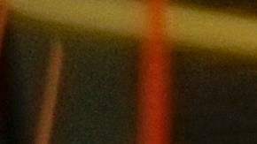 Las cacatúas son mascotas divertidas que suelen hacer reír a sus dueños con sus ocurrencias.