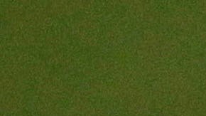 FILE - In this June 18, 2010 file photo, Argentina's soccer team manager Carlos Salvador Bilardo talks to aides during a practice in Pretoria, South Africa. Bilardo said on Tuesday, June 30, 2020, that he has tested negative for COVID-19, after being tested two more times when a first test had come out positive. (AP Photo/Ricardo Mazalan, File)