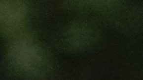 El equipo Cofidis fue víctima de los ladrones.