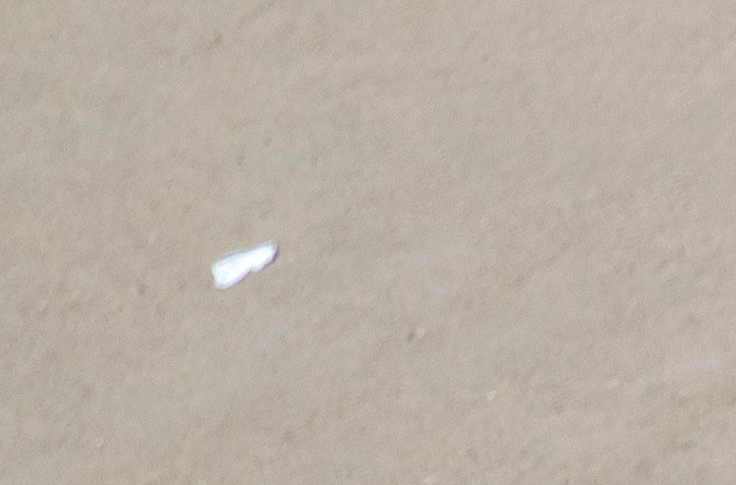 "Es hora de salir de EEUU, los encontraremos", el mensaje del Gobierno a niños inmigrantes