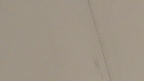 El DHS ha emitido un gran número de errores administrativos de acuerdo con la abogada de Silvestre.