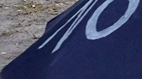 El TPS ha enfrentado varios desafíos legales.