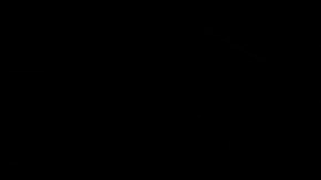 - Empleados de la ciudad de Los Ángeles limpian un campamento de personas sin hogar para reubicarlas en viviendas temporales como parte del programa "Inside Safe" de la alcaldesa de Los Ángeles, Karen Bass.