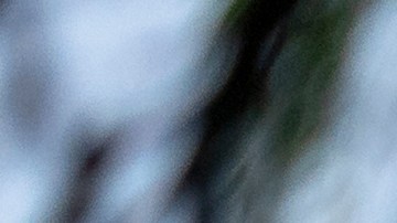 Diez hombres fueron acusados por realizar un ataque armado contra un centro de detención de ICE en Texas.