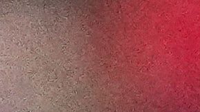 Los Angeles FC's Denis Bouanga, right, battles for the ball with Esperance de Tunis' Yassine Meriah during the Club World Cup Group D soccer match between Los Angeles FC and ES Tunisie in Nashville, Tenn., Friday, June 20, 2025. (AP Photo/George Walker IV)