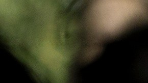 Tom Homan es el zar de la frontera.