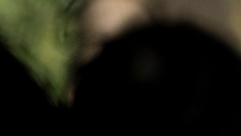 Tom Homan es el zar de la frontera.