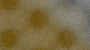 Al Hilal inscribió su nombre en los cuartos de final del Mundial de Clubes.