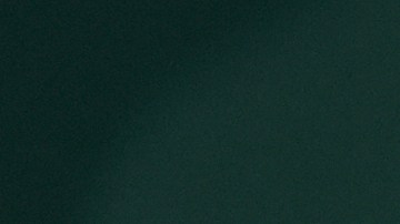 Nuno Borges no pudo rendir el homenaje que quería al futbolista.