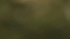 Los inmigrantes no salen por temor a ser detenidos en Texas por el ICE.