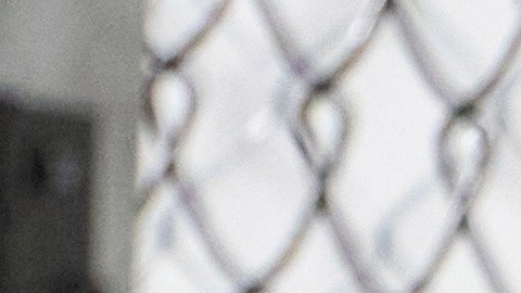 Alligator Alcatraz tendrá capacidad para albergar alrededor de 3,000 inmigrantes.