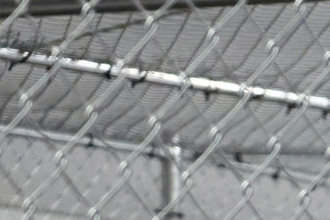 Mexicanos recluidos en 'Alligator Alcatraz' son visitados por autoridades de México