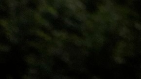 En una protesta contra operativos migratorios, manifestantes defiende que haya "una hermosa ley de derechos".