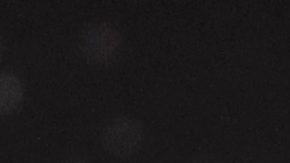 Julio César Chávez Jr.