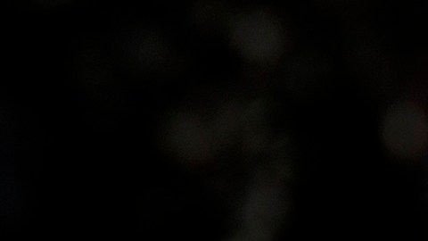 Los trámites ante USCIS registran retrasos significativos.