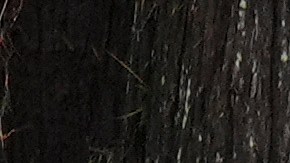 Inundaciones en Texas elevó a 70 los muertos mientras siguen las labores de búsqueda