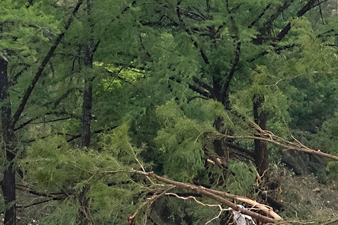 Trump firma declaración de emergencia para responder a las inundaciones en Texas