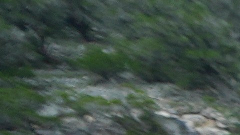 El Campamento Mystic confirmó en un comunicado la muerte de 27 personas, entre ellas niñas e instructores.
