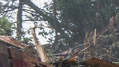 Trump firma declaración de emergencia para responder a las inundaciones en Texas