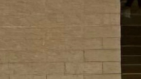 Hombre es abatido tras dispara contra instalación de la Patrulla Fronteriza en McAllen, Texas