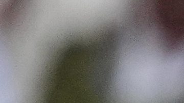 Spain's Carlos Alcaraz celebrates after beating Britain's Cameron Norrie during a quarterfinal men's singles match at the Wimbledon Tennis Championships in London, Tuesday, July 8, 2025. (AP Photo/Kirsty Wigglesworth)