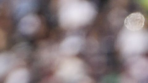 Enzo Fernández felicita a Joao Pedro luego de uno de sus goles.