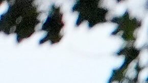 La Policía Estatal de Maine continúa investigando el caso y no ha descartado la posibilidad de presentar cargos adicionales.