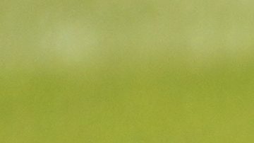 Iga Swiatek of Poland celebrates winning the women's singles final match against Amanda Anisimova of the U.S. at the Wimbledon Tennis Championships in London, Saturday, July 12, 2025.(AP Photo/Kirsty Wigglesworth)