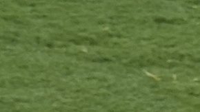 João Pedro, del Chelsea (izquierda), es atacado por el portero del Paris Saint-Germain, Gianluigi Donnarumma, y el entrenador Luis Enrique al final del partido por el título del Mundial de Clubes entre el Chelsea y el PSG en East Rutherford, Nueva Jersey, el domingo 13 de julio de 2025. (Foto AP/Pamela Smith)