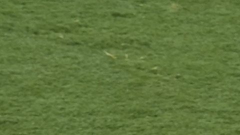 João Pedro, del Chelsea (izquierda), es atacado por el portero del Paris Saint-Germain, Gianluigi Donnarumma, y el entrenador Luis Enrique al final del partido por el título del Mundial de Clubes entre el Chelsea y el PSG en East Rutherford, Nueva Jersey, el domingo 13 de julio de 2025. (Foto AP/Pamela Smith)