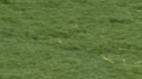 Imagen de la gresca protagonizada por Luis Enrique y Joao Pedro.