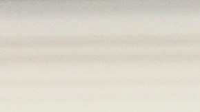 El 1 de marzo, el presidente Trump firmó una orden para declarar el inglés como lengua oficial de EE.UU.