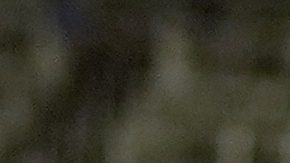 Seattle Mariners' Cal Raleigh celebrates after winning the MLB baseball All-Star Home Run Derby, Monday, July 14, 2025, in Atlanta. (AP Photo/Mike Stewart)