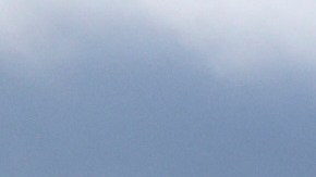 Un vehículo fue arrastrado por la corriente de Cedar Brook