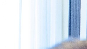 John Thune, líder de la mayoría en el Senado.