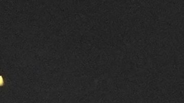 Donald Trump junto a los jugadores del Chelsea.