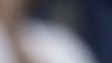 FILE - Los Angeles Dodgers' Shohei Ohtani congratulates his dog Decoy after Decoy delivered the ceremonial first pitch prior to a baseball game between the Dodgers and the Baltimore Orioles, Aug. 28, 2024, in Los Angeles. (AP Photo/Mark J. Terrill, File)