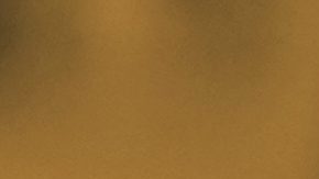 Julian Alaphilippe después de cruzar la meta.