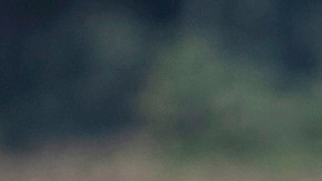 La operación incluyó aeronaves, botes de rescate y tecnología de sonar.