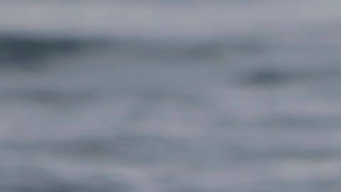 Tsunami alcanza la costa de California mientras se desactiva la alerta en Hawái