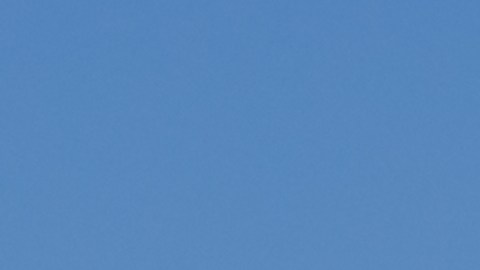 Aerolínea Avelo suspende sus operaciones en la Costa Oeste