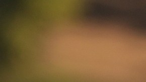 Los Angeles Mayor Karen Bass walks with a federal agent at MacArthur Park Monday, July 7, 2025, in Los Angeles. (AP Photo/Damian Dovarganes)
